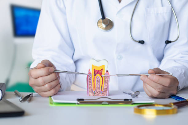 Best Emergency Dentist for Lost Fillings or Crowns in Martinez, CA